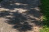 2017-08-21 Eclipse 263